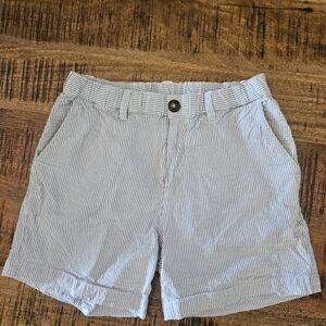 Chubbies Light Blue Striped Men's Shorts